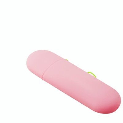 Travel Toothbrush Box
